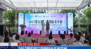 2017第五届三亚国际名车展开展