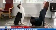 这智商简直了 看得目瞪口呆！