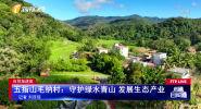 自贸加速度 五指山毛纳村：守护绿水青山 发展生态产业