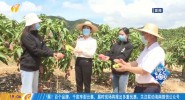 海南快递业务量突破1亿件 前5个月快递业务量收同比增速居全国前5